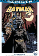 Batman - Paperback 1: Ich bin Gotham