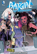 Batgirl - Die neuen Abenteuer 3: Das Batgirl-Team