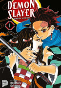 Demon Slayer - Kimetsu no Yaiba 01