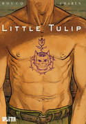 Little Tulip