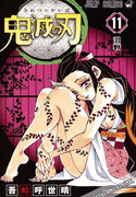 Demon Slayer - Kimetsu no Yaiba 11